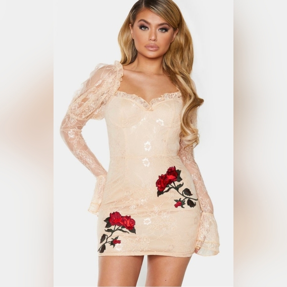 PrettyLittleThing Dresses & Skirts - PrettyLittleThing Cream Lace Mini Dress with Red Rose Embroidery